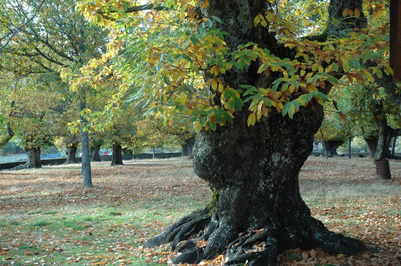 La Era De Sanabria Villa Villarino de Sanabria Bagian luar foto